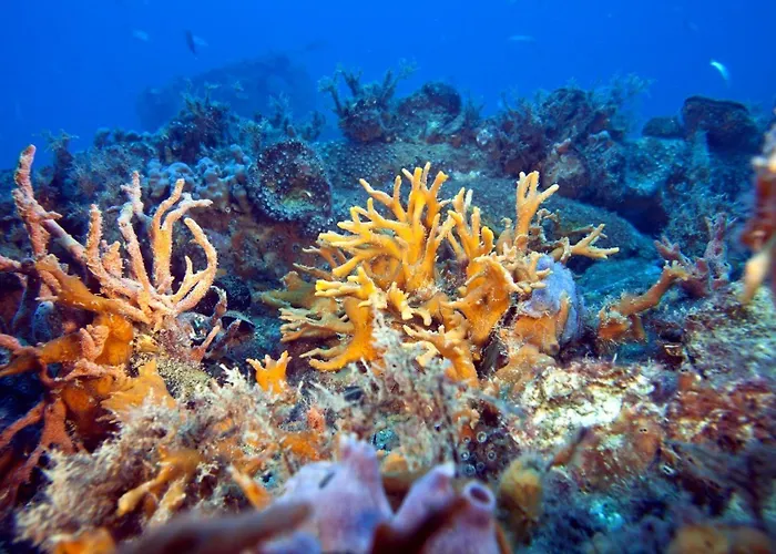 Le Tegnue 4* Sottomarina